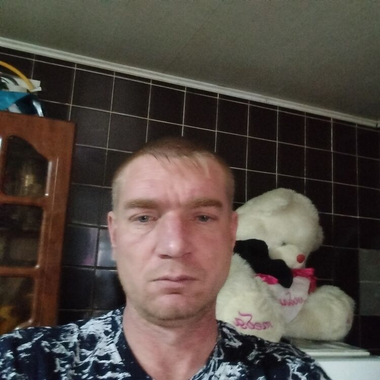  43266335  , 39 ,    