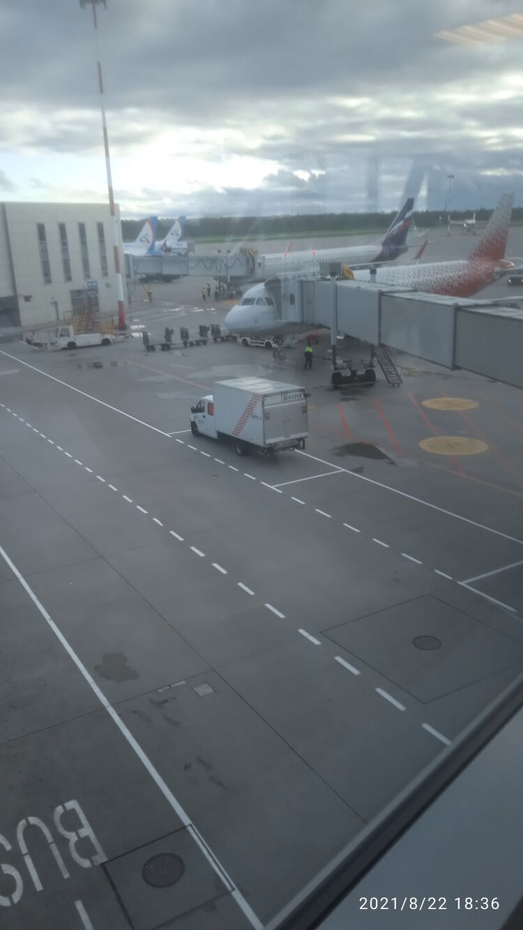 ���� 24079615 ������� ������, 28 ���, ���� ���������� � �����-����������