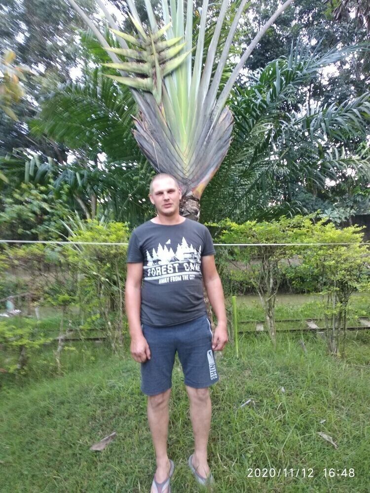 ���������� ��������, ���� ������� �����, 36 ���, ������������ ��� ������, ����� � ���������