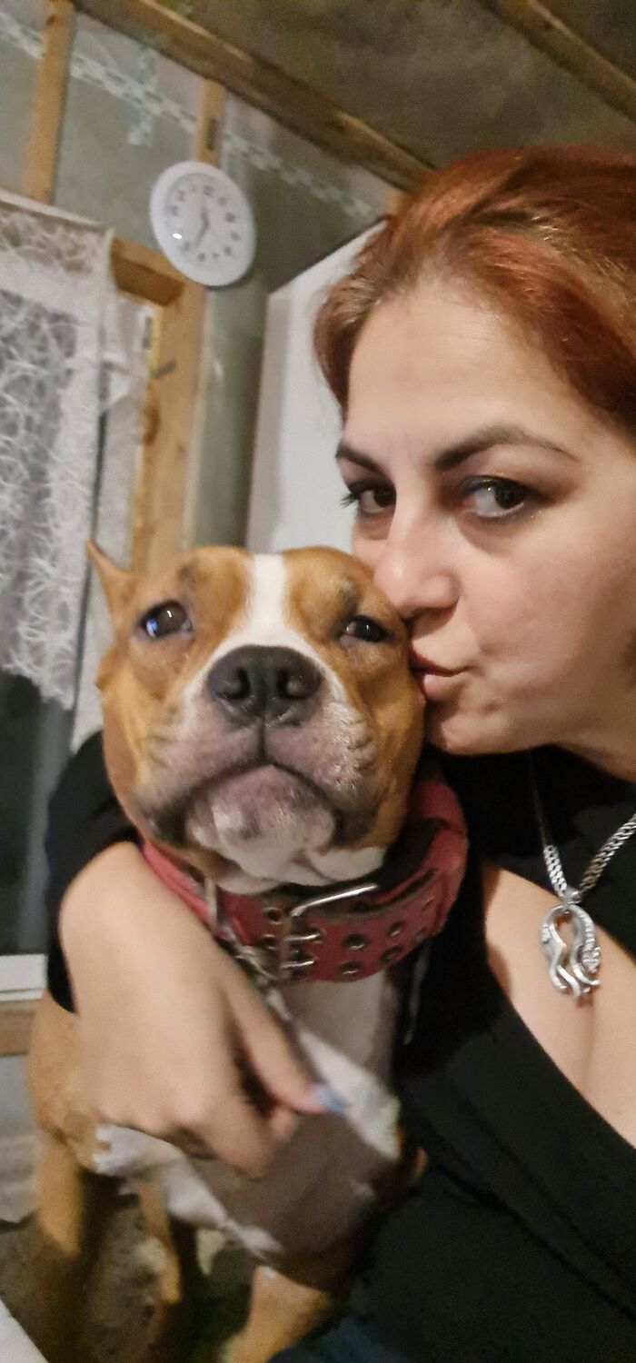  54510975  , 41 ,    -