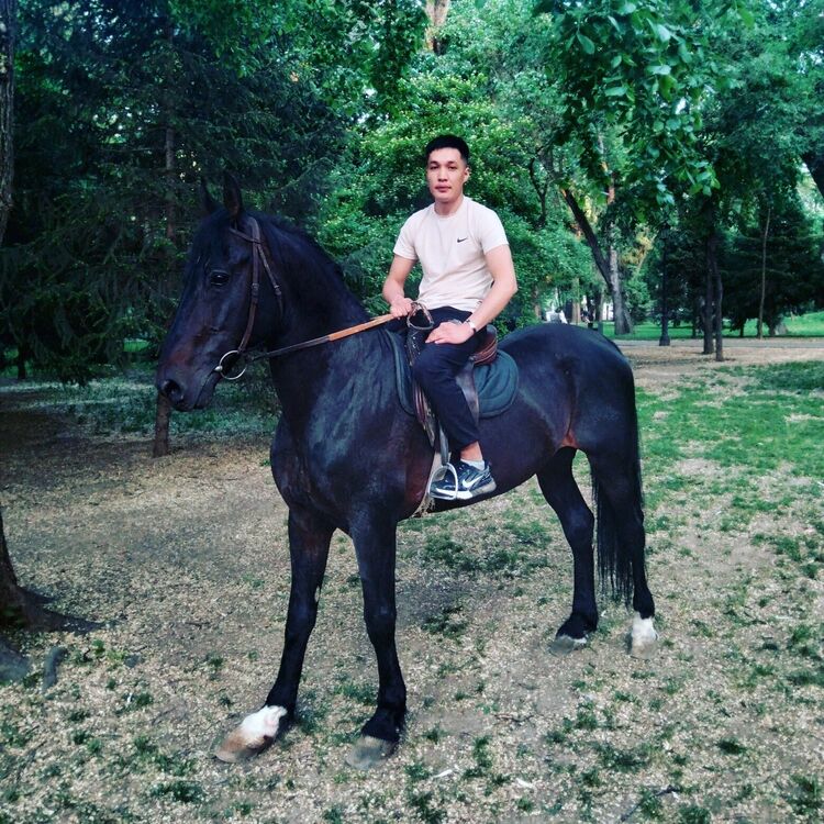 ���������� ������, ���� ������� ����� ���, 30 ���, ������������ ��� ������, ����� � ���������