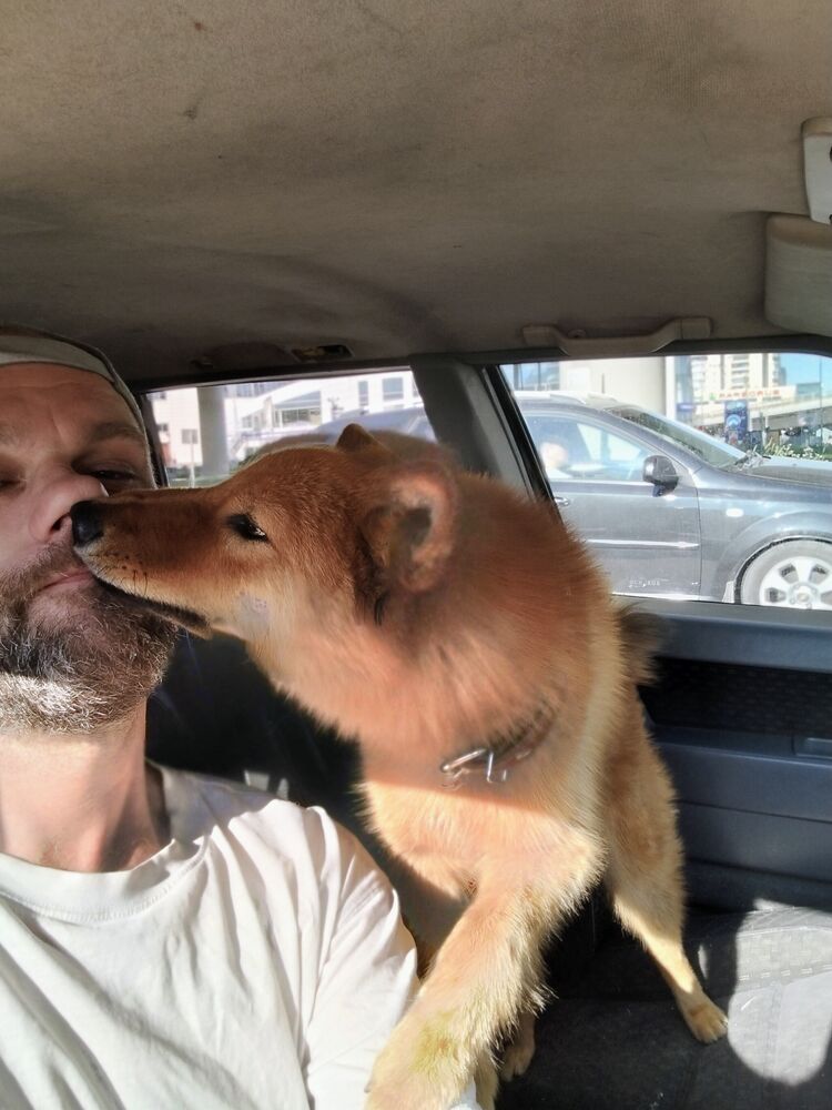 ���������� �����-���������, ���� ������� ArtemSkiShin, 44 ����, ������������ ��� ������, ����� � ���������, c�������� ���������, ���������