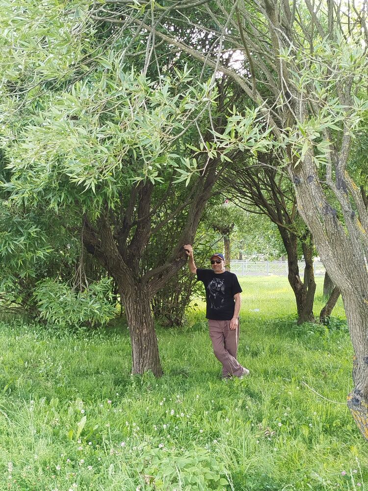 ���������� �������, ���� ������� ����, 46 ���, ������������ ��� ������, ����� � ���������, c�������� ���������, ���������