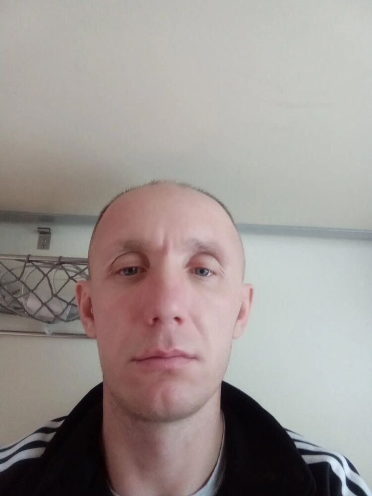 41316395  , 41 ,    