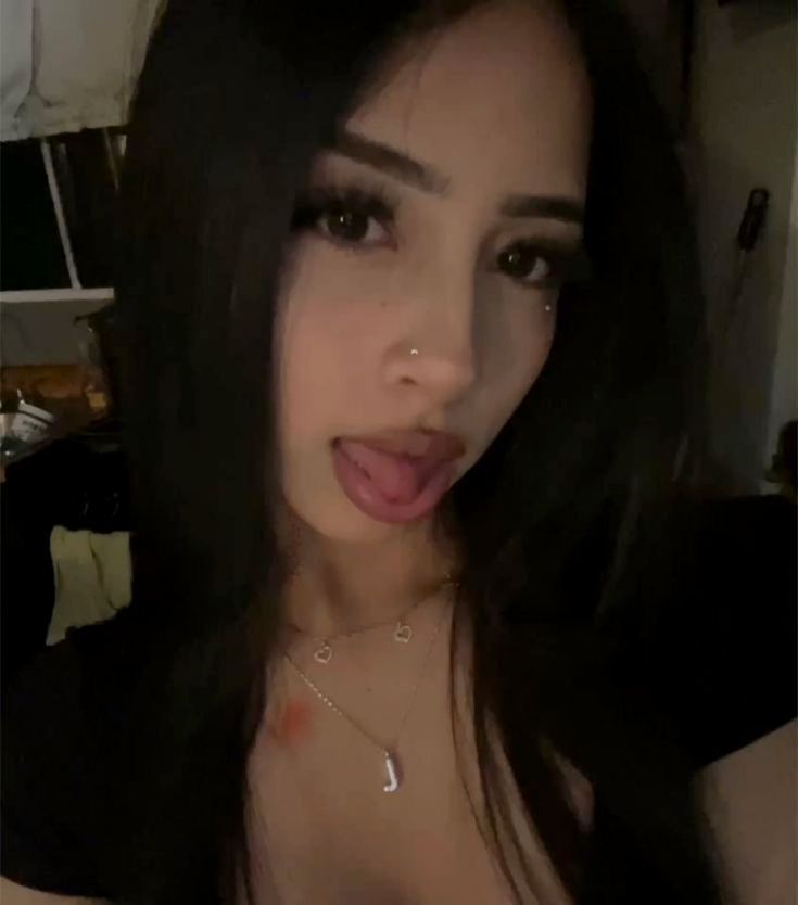  53073735  , 24 ,    