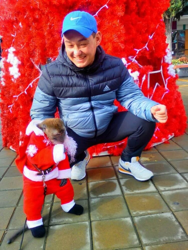 ���� 21153645 ������� ����, 45 ���, ���� ���������� � �����-����������