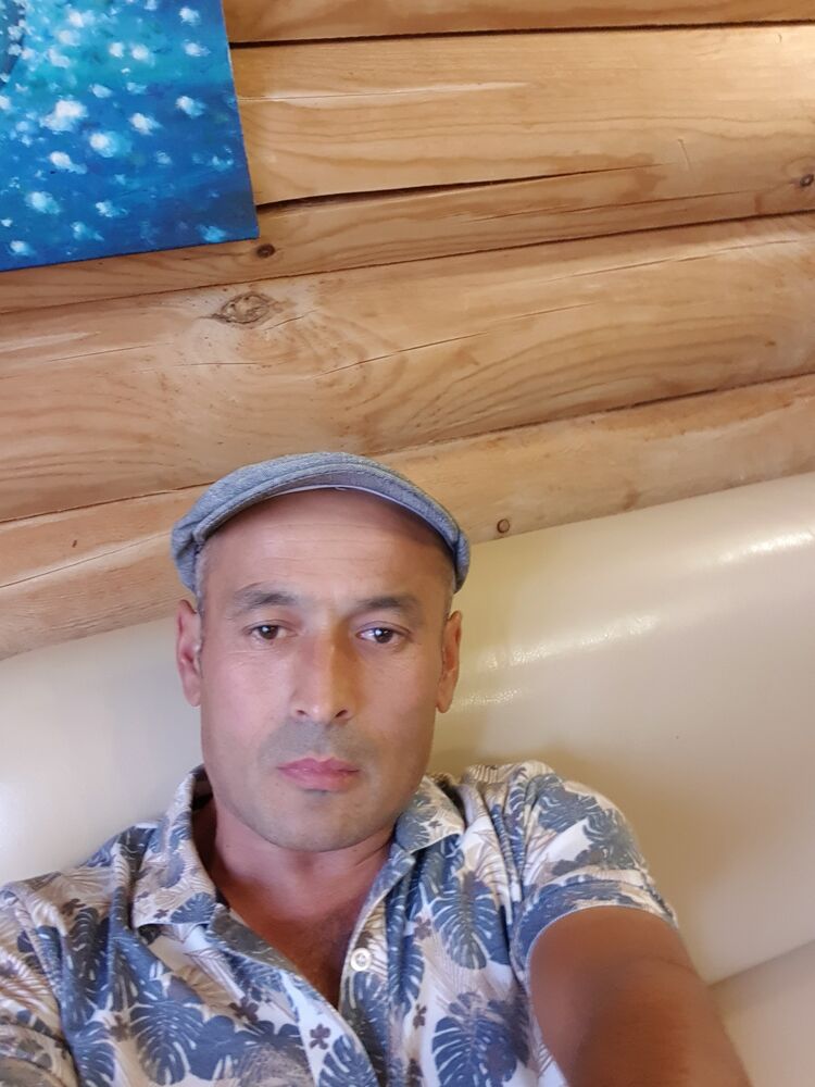  24088195  , 43 ,    