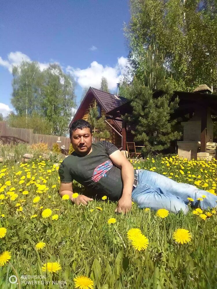 ���������� �����, ���� ������� ������, 43 ����, ������������ ��� ������, ����� � ���������, c�������� ���������, ���������