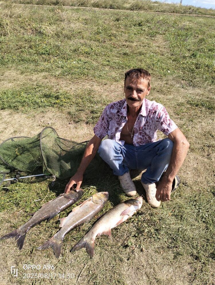  ,   Fedor, 62 ,   ,   