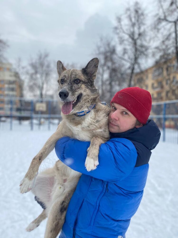 ���� 30981335 ������� ������, 41 ���, ���� ���������� � ������