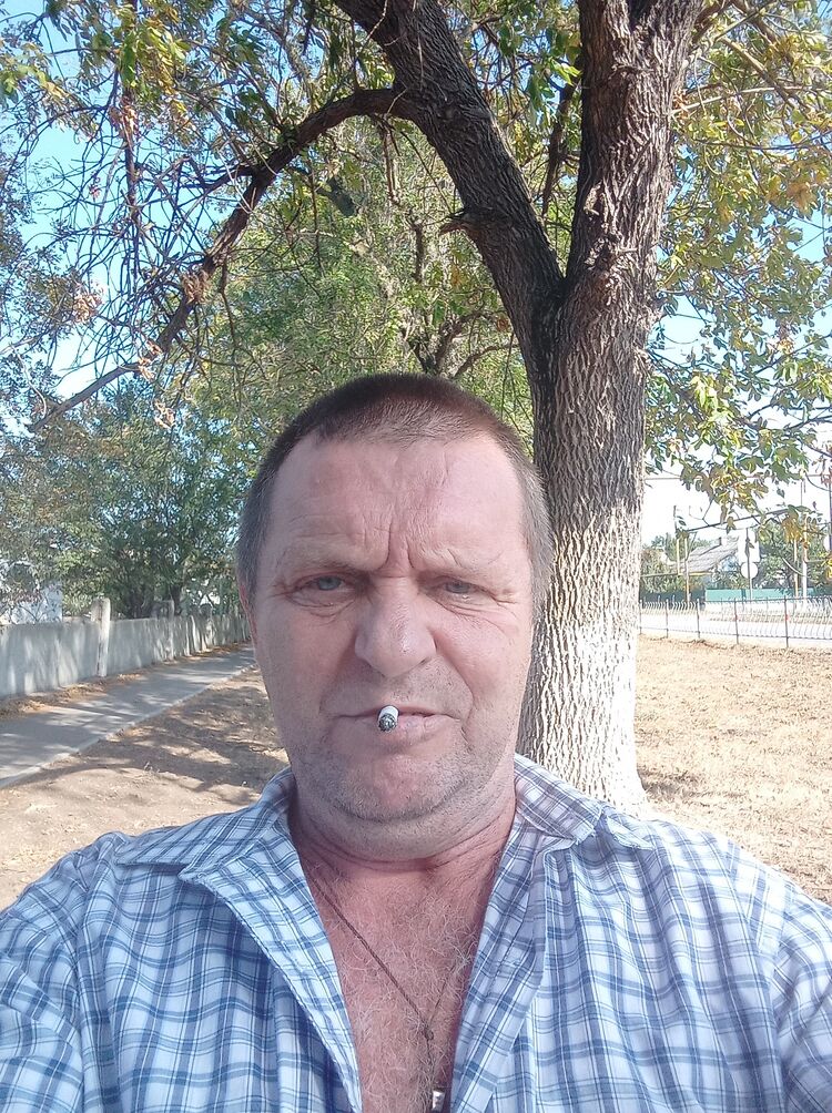  38620985  , 49 ,    