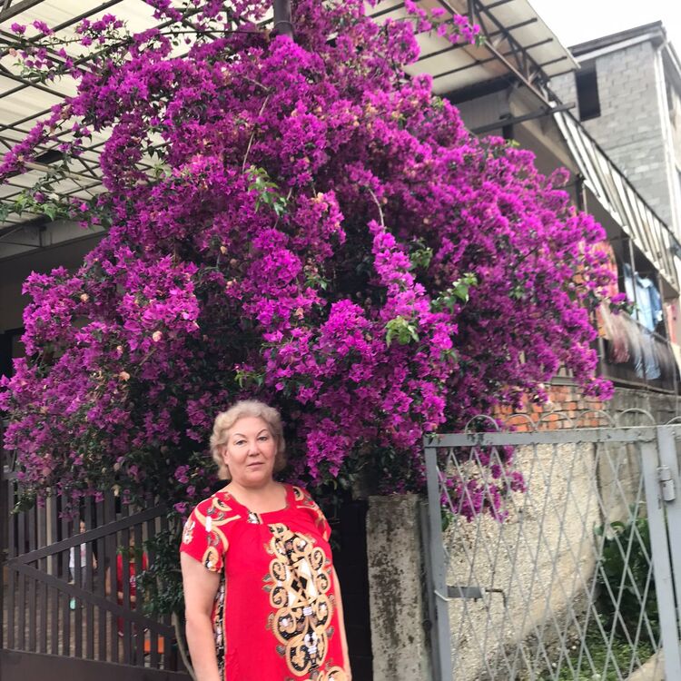 ,   , 60 ,   ,   