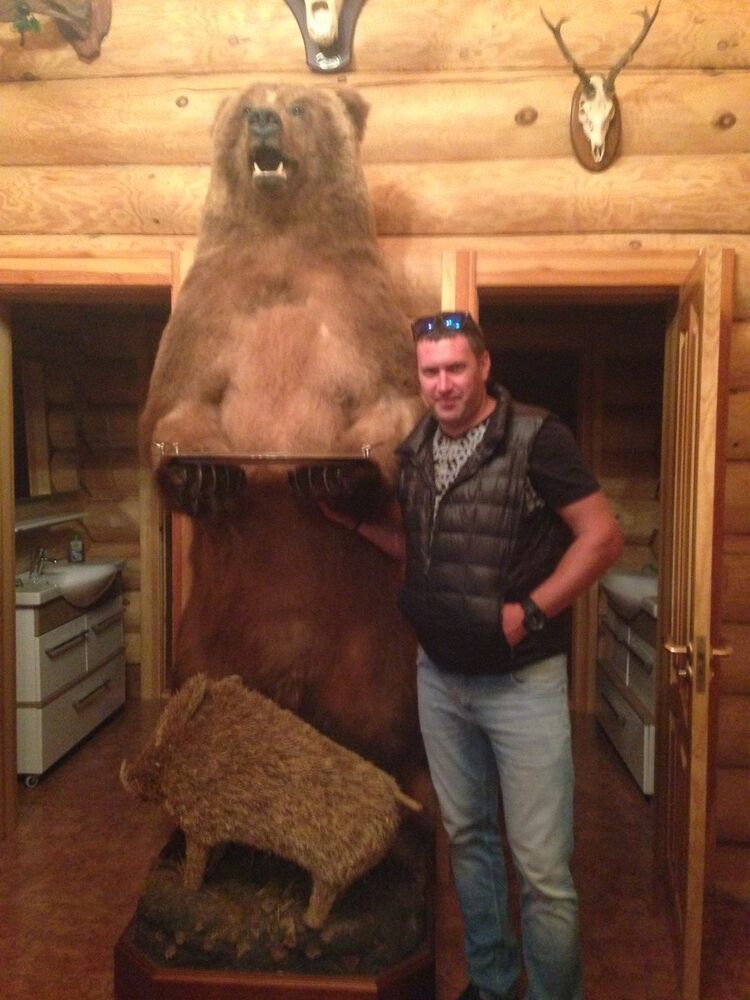 ���������� ������, ���� ������� Wolfik, 45 ���, ������������ ��� ������, ����� � ���������, c�������� ���������, ���������