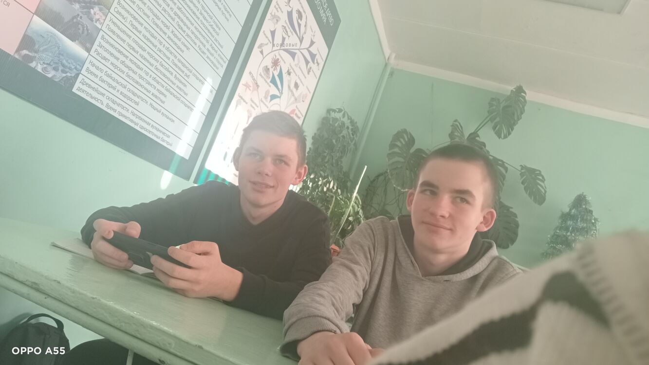  42048245  , 24 ,    