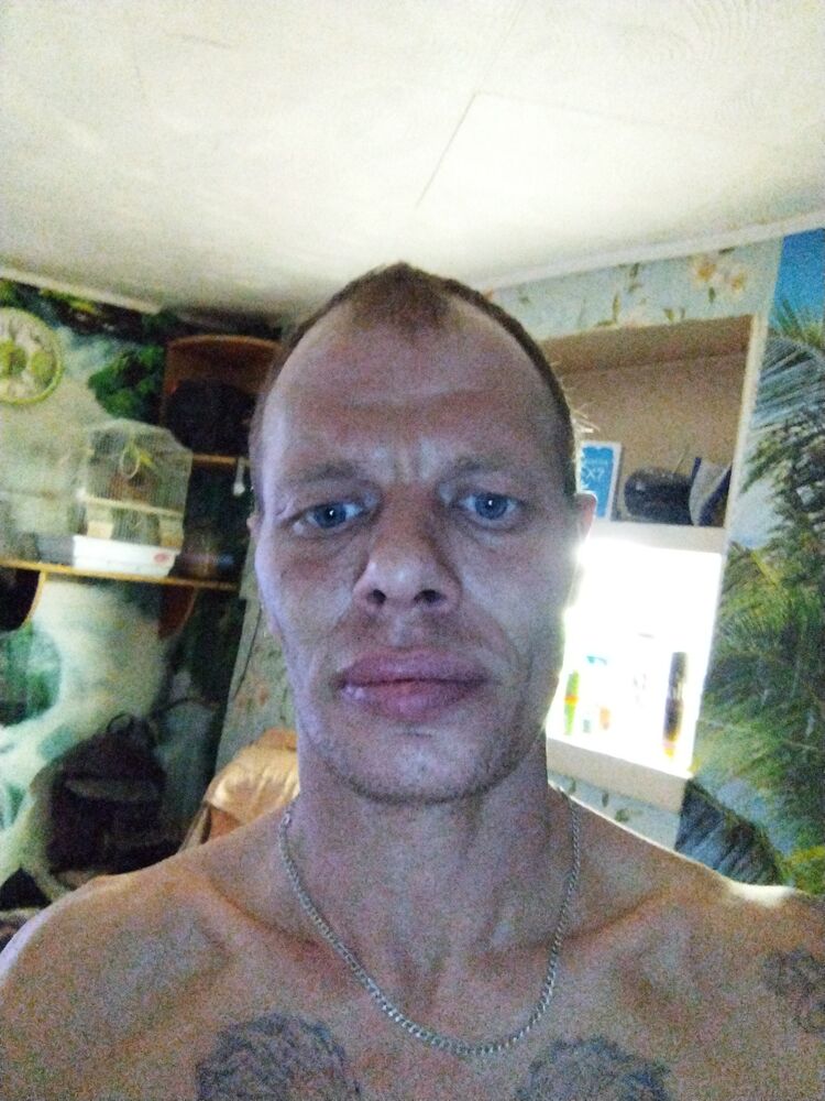  33225775  , 41 ,    