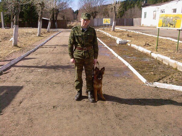 ���������� �������, ���� ������� ����, 29 ���, ������������ ��� ������, ����� � ���������, c�������� ���������