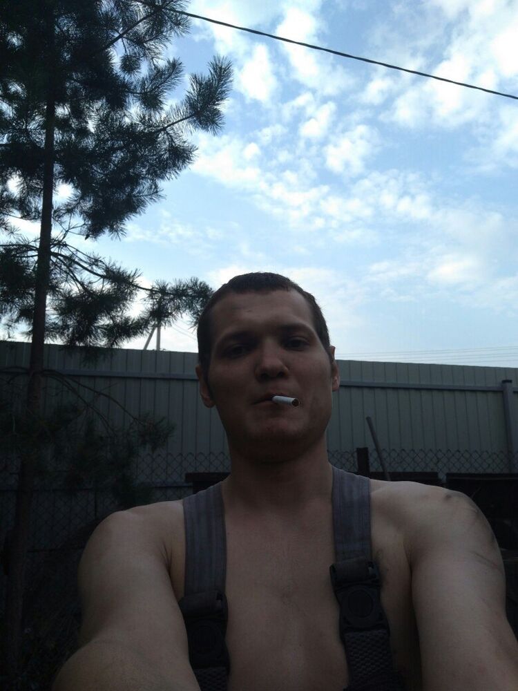  41631845  , 33 ,    