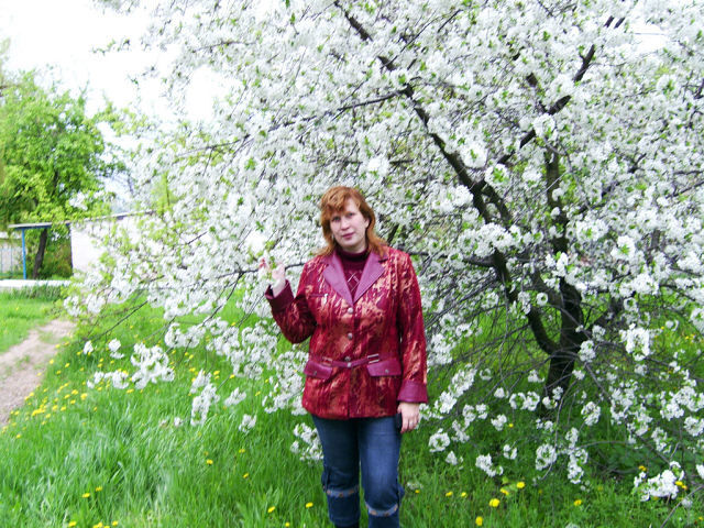 ���� 4033995 ������� ����, 44 ����, ���� ���������� � ����������