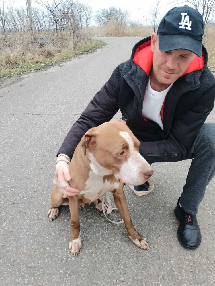 ���� 47243965 ������� ����, 38 ���, ���� ���������� � ������