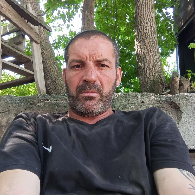  52824925  , 44 ,    