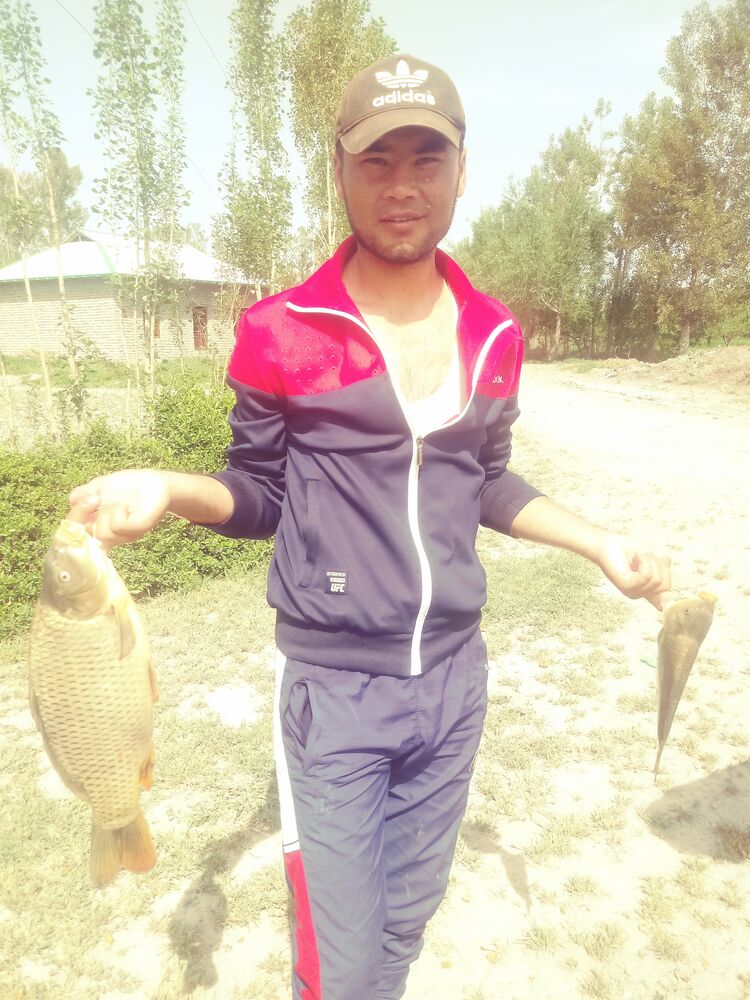 ���������� �������, ���� ������� FAYYOZ, 35 ���, ������������ ��� ������, ����� � ���������, c�������� ���������, ���������