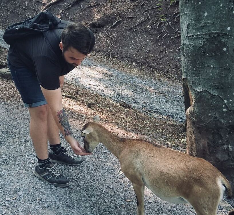  ,   , 27 ,   ,   , c , 