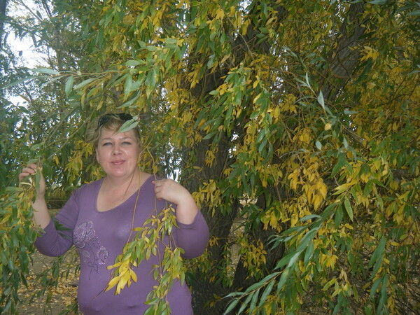  ,   LEDI, 50 ,     , c 