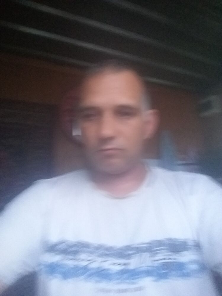  44617855  , 43 ,    
