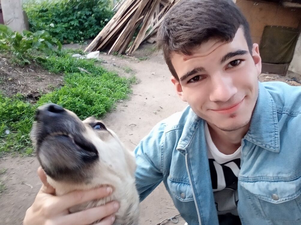 ���������� ����������, ���� ����� ����, 25 ���, ������������ ��� ������, ����� � ���������, c�������� ���������