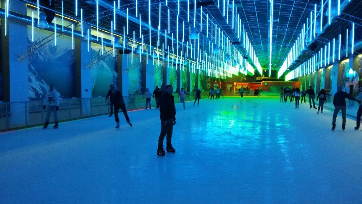  5552385  Maximus, 36 ,    