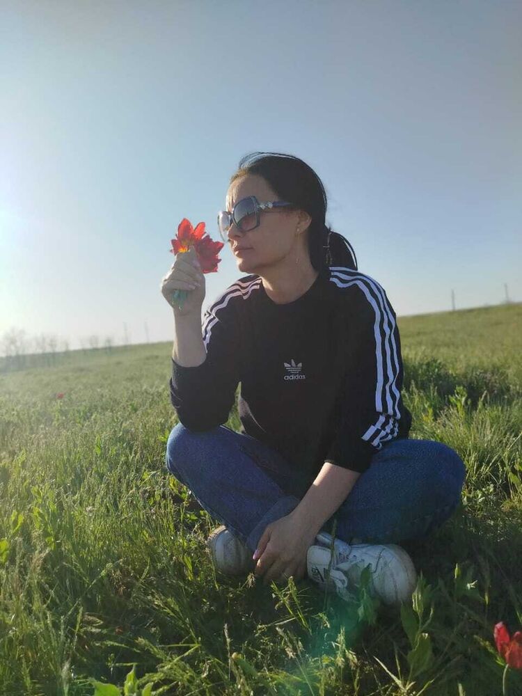  --,   , 43 ,   ,   