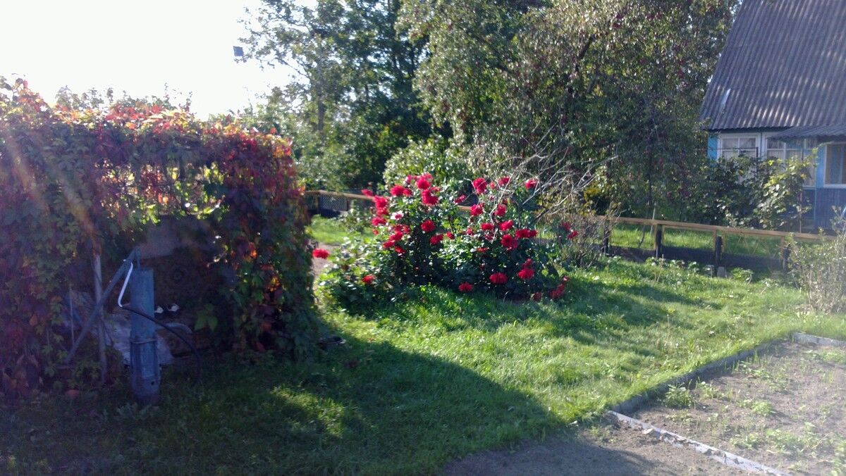 ���������� �����, ���� ������� �����, 47 ���, ������������ ��� ������