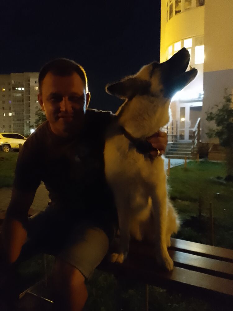 ���� 37074295 ������� ����, 43 ����, ���� ���������� � �����-����������