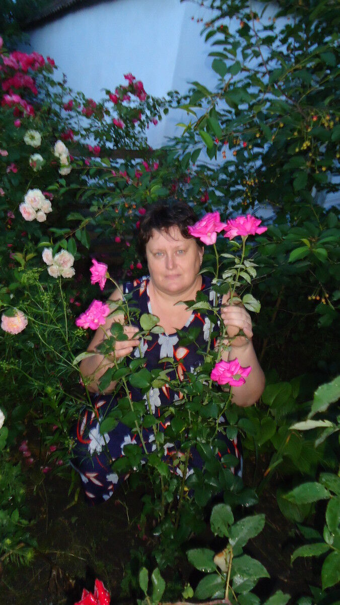 ,   , 53 ,   