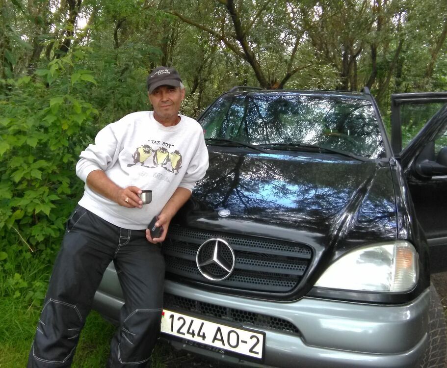 33165735  , 62 ,    