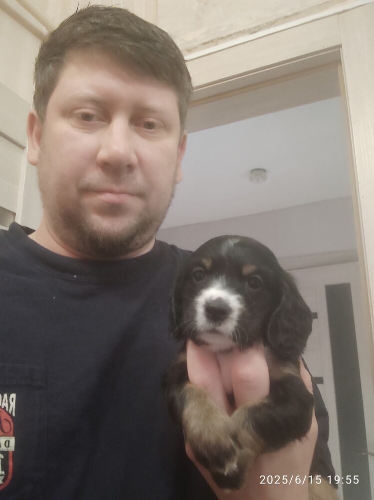 ���� 55537015 ������� ����, 42 ����, ���� ���������� � �����������