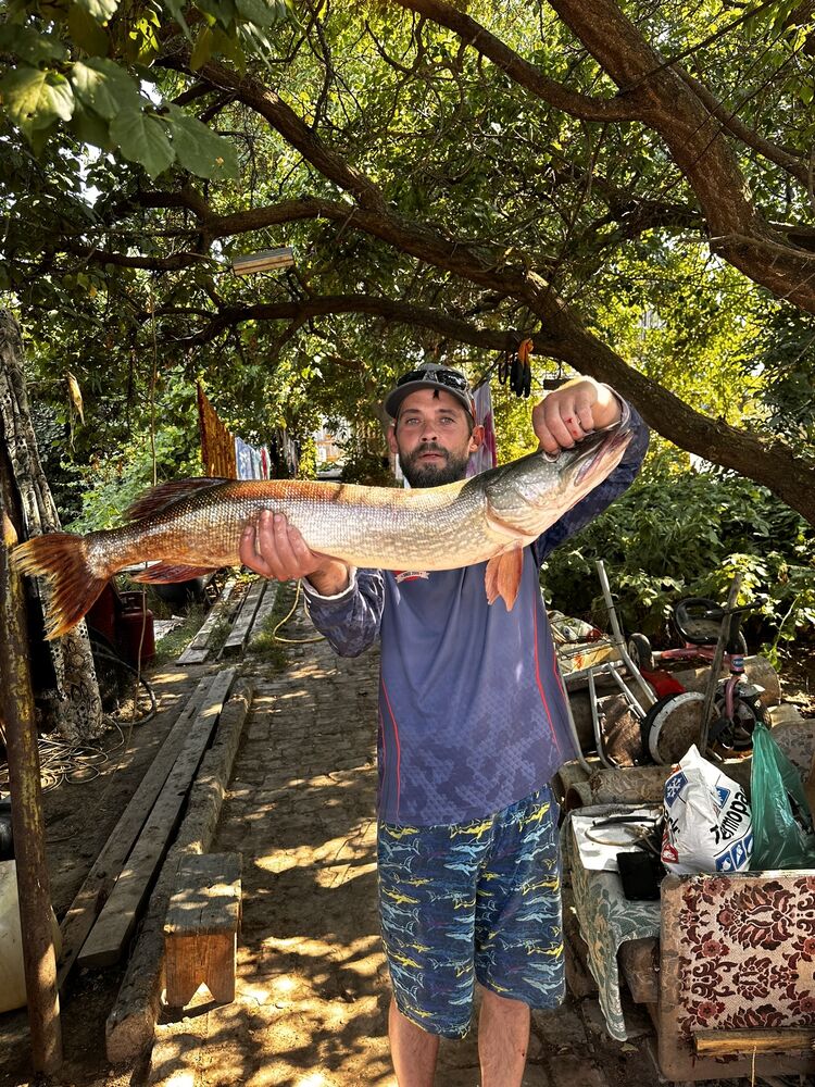 ���������� ������, ���� ������� ������, 43 ����, ������������ ��� ����� � ���������, c�������� ���������