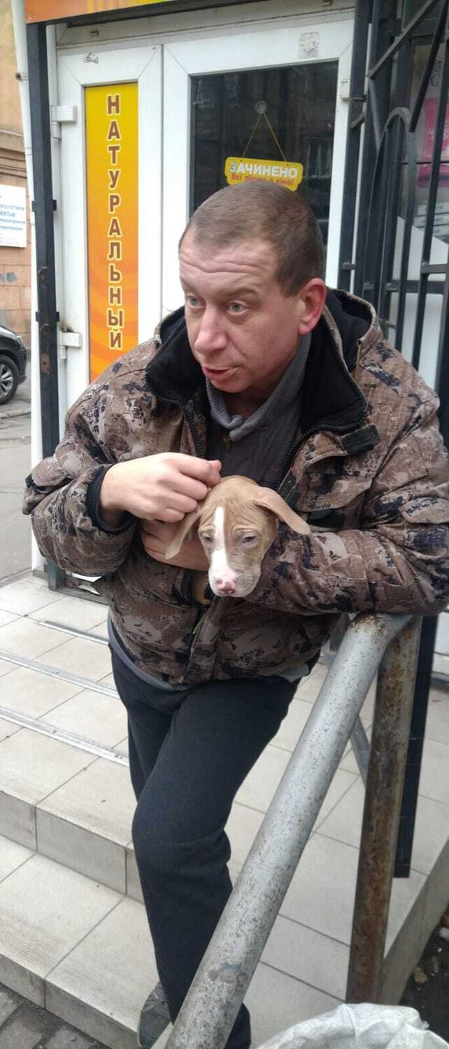 ���� 56054785 ������� �������, 44 ����, ���� ���������� � ���������