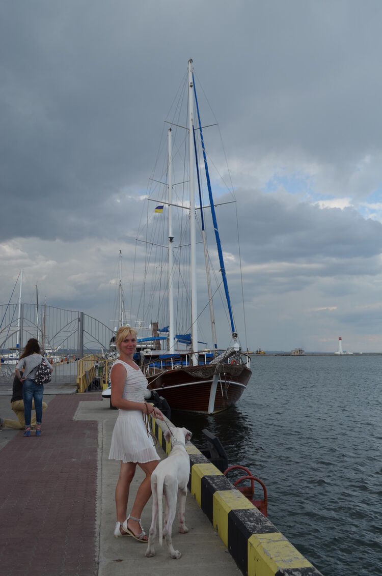 ���������� ������, ���� ������� ������, 46 ���, ������������ ��� ������, ����� � ���������, c�������� ���������