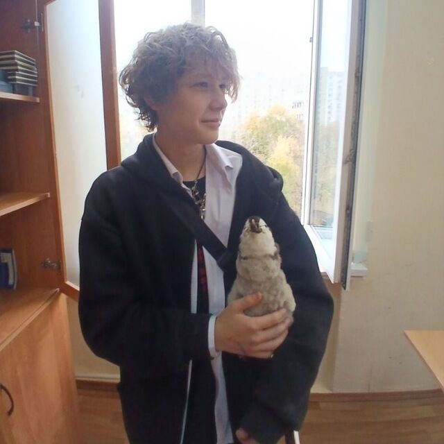 ���� 55052115 ����� ����, 18 ���, ���� ���������� � ������