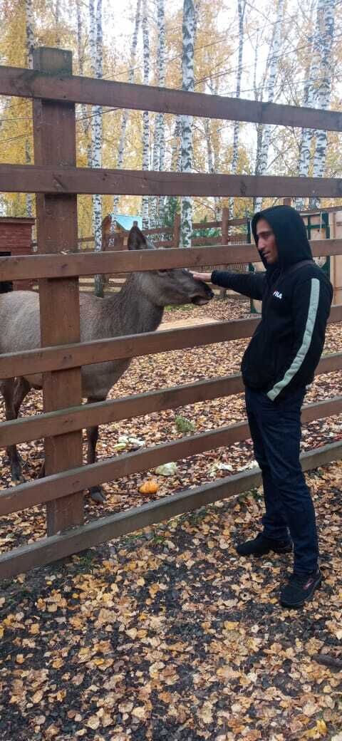 ���� 29597865 ������� ��������, 31 ���, ���� ���������� � ������