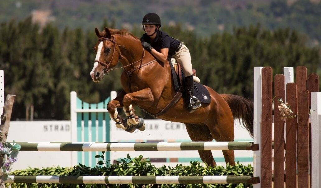 ���� 55532795 ������� �����, 35 ���, ���� ���������� � ������