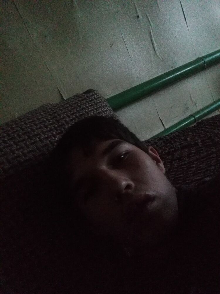  17771565  , 23 ,    