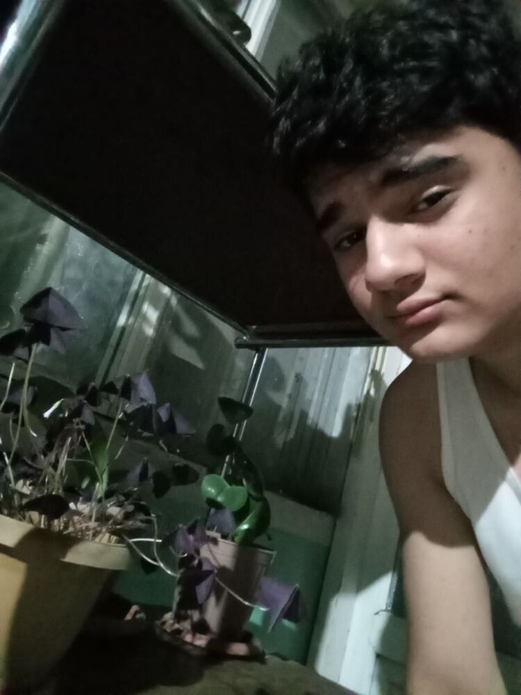 ���� 53463855 ����� ����, 19 ���, ���� ���������� � �������