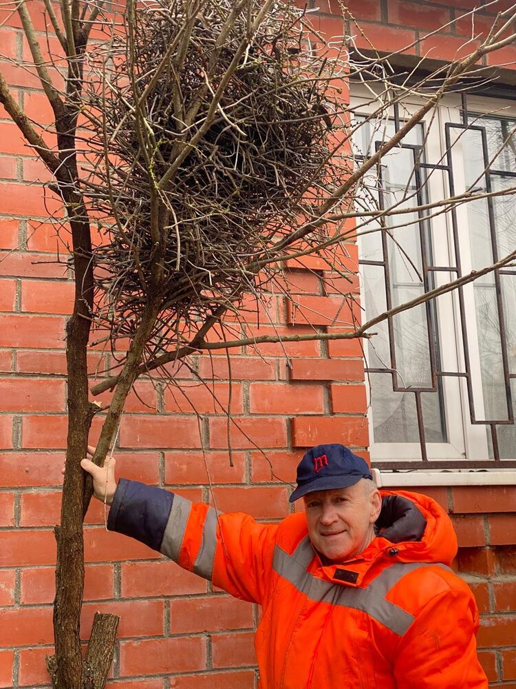 ���� 54196745 ������� Andrei, 63 ����, ���� ���������� � ������