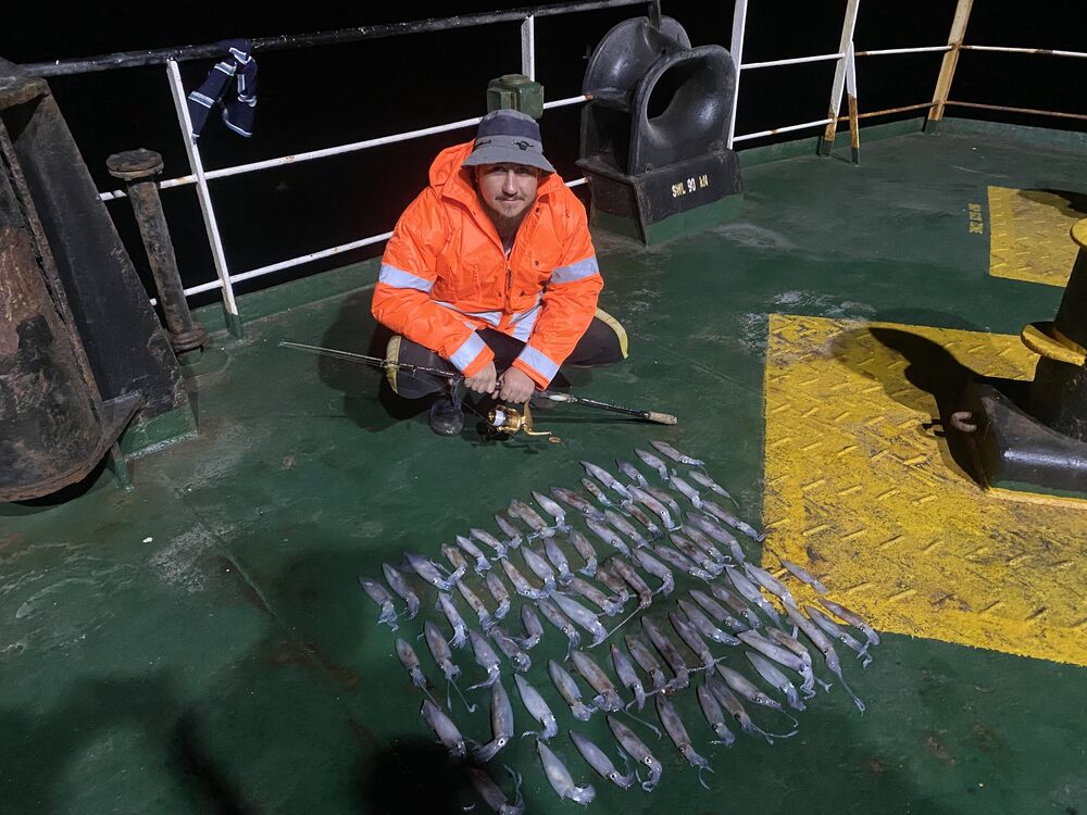  33240875  , 34 ,    --