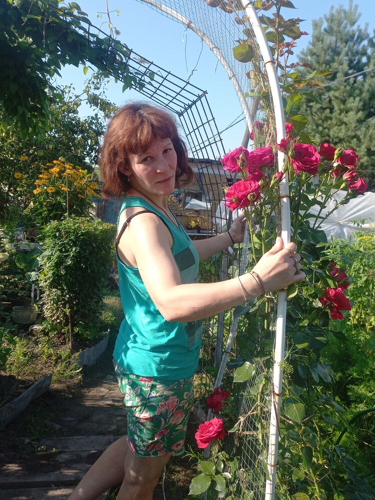 ���� 55530565 ������� Nabun, 39 ���, ���� ���������� � ���������