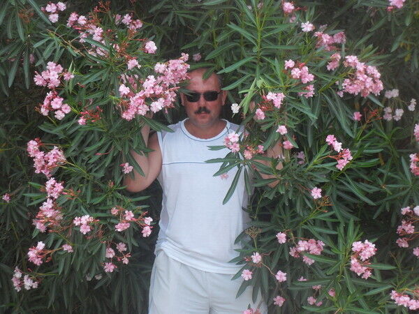 ���������� �������, ���� ������� ��������, 55 ���, ������������ ��� ������, ����� � ���������