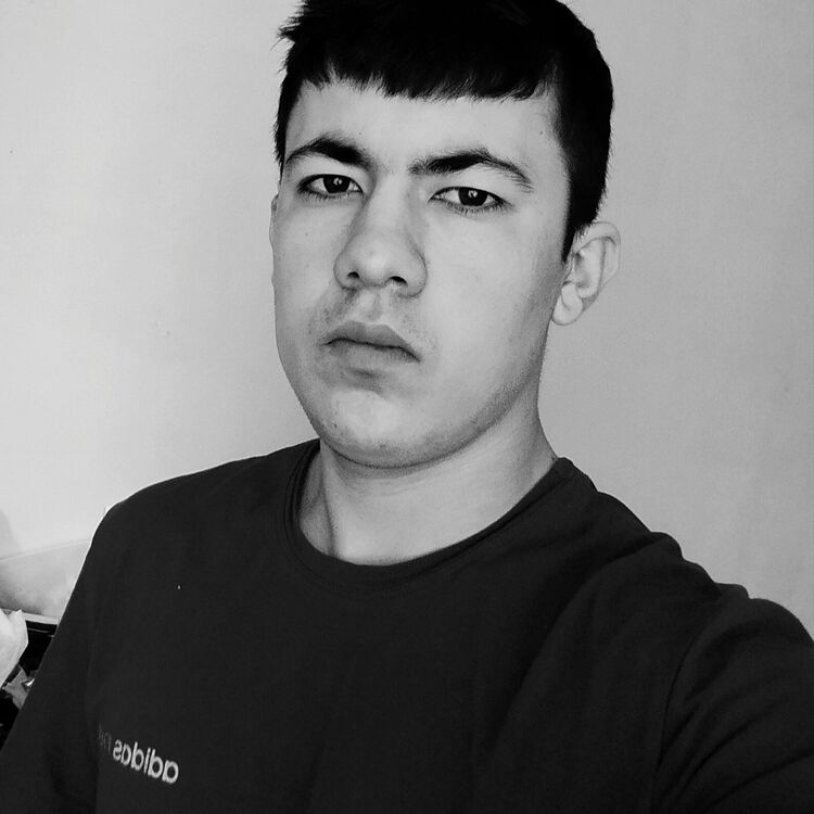  33225915  Zarshed, 21 ,    