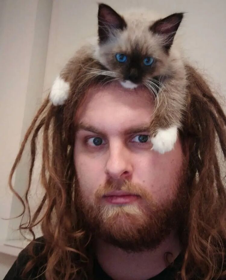  -,   , 29 ,   ,   